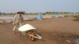 Nam Định: Khổ, diêm dân mưu sinh dưới chảo lửa, kiếm 50.000đ/ngày