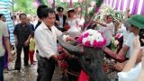 Những màn rước dâu có một không hai