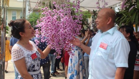 Nam Định: Trưng bày và hội thi hoa lan mở rộng lần thứ nhất năm 2018