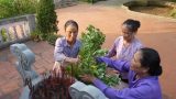 Chuyện ba phụ nữ trông nghĩa trang giữa quê lúa