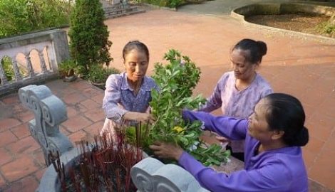 Chuyện ba phụ nữ trông nghĩa trang giữa quê lúa