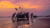 Nam Định: Nghề Biển Hải Lý
