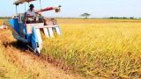 Xây dựng quy chuẩn cho nông sản về Thủ đô