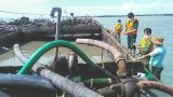 Bắt giữ 3 sà lan do 3 người quê Nam Định vận chuyển cát trái phép trên vùng biển Cần Giờ