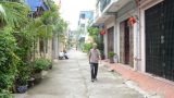 Bình yên ngõ phố Thành Nam Bình yên ngõ phố Thành Nam