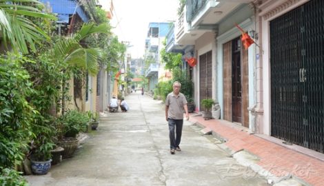 Bình yên ngõ phố Thành Nam