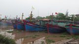 Nam Định, Thái Bình phòng chống bão từ xa