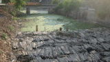 Dòng kênh bị ô nhiễm