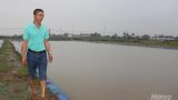 Lãi cao nhờ nuôi cá sạch