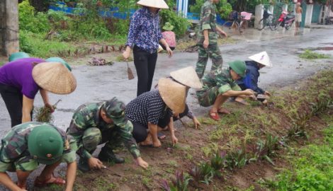 Hải Hậu: Những con đường hoa kiểu mẫu