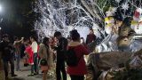 Dự báo thời tiết Noel mới nhất: Đêm nay, không khí lạnh tràn xuống Bắc Bộ