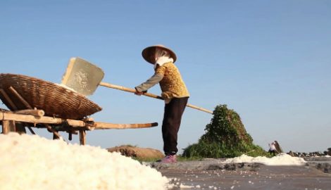 Hơn 40 năm gắn bó với nghề muối của người phụ nữ Nam Định