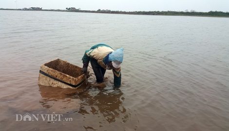Nghĩa Hưng: Lạnh cắt da cắt thịt, ngư dân ngâm mình hàng giờ dưới nước mưu sinh