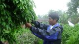 Nông dân Nam Định hồ hởi đi học nghề để làm giàu