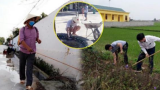 Thầy Hiệu trưởng có 1-0-2: Nhổ cỏ, phun khử khuẩn… đến cả cắt tóc, rửa mặt cho học sinh thầy cũng làm