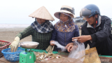 Ngư dân Nam Định khởi đầu năm mới khó khăn