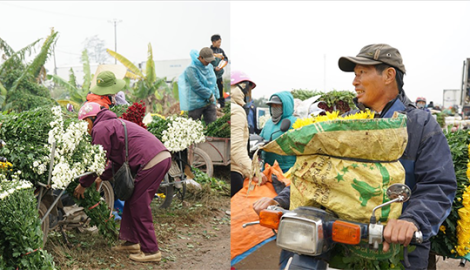 Mỹ Lộc: Cận Tết Nguyên Đán, giá hoa tăng kỷ lục, làng hoa Mỹ Tân vẫn tấp nập kẻ bán người mua
