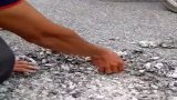 Nam Định: Đường bê tông nhựa 10 tỷ đồng trở thành bánh “cu đơ”