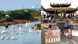 Kinh nghiệm du lịch phượt Nam Định