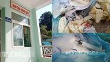 TT Y tế huyện Ý Yên: Hãi hùng cảnh rác y tế lẫn trong rác sinh hoạt