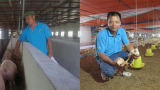 Làm giàu ở nông thôn: Kiếm tiền tỷ nhờ nuôi 2 con trên bờ 1 con dưới nước