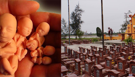 Nam Định: nghĩa trang của hơn 14.000 hài nhi bị vứt bỏ và những câu chuyện lạnh người
