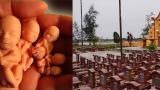 Nam Định: nghĩa trang của hơn 14.000 hài nhi bị vứt bỏ và những câu chuyện lạnh người