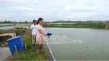 Nam Định: Xã Tân Khánh (Vụ Bản) phát triển thươɴɢ mại dịch vụ