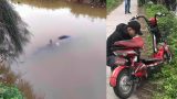 Nam Định: Phát hiện thi thể người đàn ông dưới mương thủy lợi
