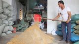 Nam Định: Cả HTX nuôi cá VietGAP mỗi năm “nhẹ nhàng” thu lãi khoảng 25 tỷ đồng