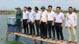 Nam Định: Điển hình nông dân sản xuất kinh doanh giỏi, cách làm giàu hay đang lan tỏa, có mô hình nuôi cá trắm đen