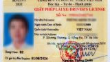 Chính phủ: Đồng ý giấy phép lái xe có 12 điểm/năm, vi phạm bị trừ hết điểm phải thi lại