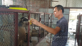 Nam Định: Nuôi loài thú khoái ăn chuối, ăn cháo loãng qua ngày mà ông nông dân này kiếm tiền tỷ