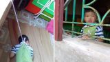 Tin mới nhất vụ cô giáo dùng dây cột bé trai 4 tuổi vào cửa sổ: Tạm đình chỉ công tác 2 nữ giáo viên