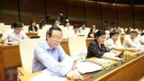 Quốc hội thông qua Luật Đầu tư, cấm kinh doanh dịch vụ đòi nợ, mua bán bào thai