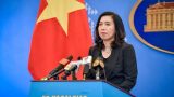 ‘VN luôn quan tâm tới an ninh lương thực cùng với việc xuất khẩu gạo’