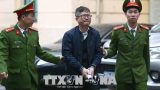 Vai trò em trai ông Đinh La Thăng trong vụ Trịnh Xuân Thanh tham ô