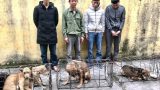 Bắn đạn hơi cay vào nhà “cẩu tặc” để khống chế đối tượng