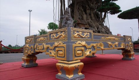 Xôn xao cây cảnh giá 10 tỷ, dát 5 lượng vàng quanh chậu của đại quê Nam Định