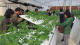Nam Định: Đẩy mạnh ứng dụng khoa học công nghệ vào thực tiễn