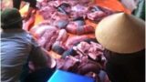 Có xẻ thịt cá voi dạt vào bở biển ở Nam Định, nhưng không ăn Có xẻ thịt cá voi dạt vào bở biển ở Nam Định, nhưng không ăn
