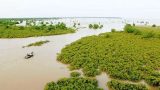 Làm giàu nhờ Vườn Quốc gia Xuân Thủy
