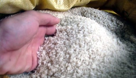 Gạo Nam Định lên ngôi ở Hà Nội