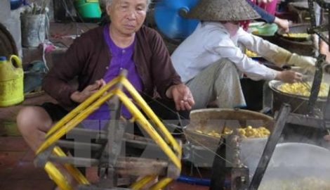 Nguy cơ thất truyền làng nghề ươm tơ Cổ Chất