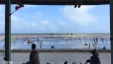[Thơ] Biển Quất Lâm