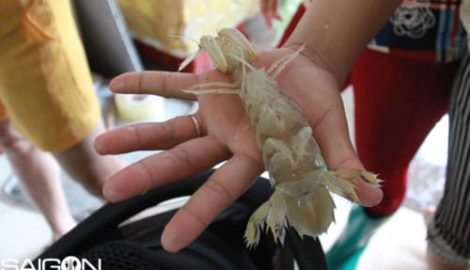 Về chợ quê ven biển Nam Định ăn bề bề luộc