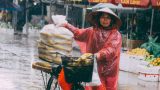 Nam Định: Bài văn 10 điểm về người lao động không có ngày nghỉ lễ