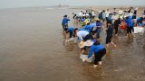 Nam Định: Thả hơn 1 triệu con giống thủy sản xuống VQG Xuân Thủy