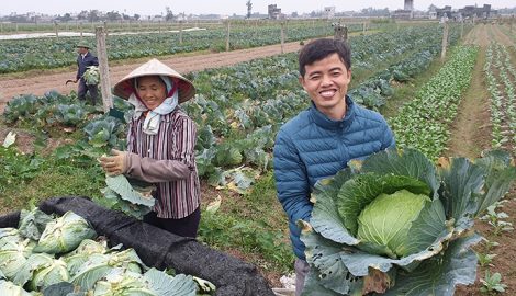 Nam Định tạo đột phá trong sản xuất nông nghiệp