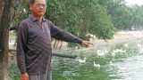 Mai Văn Sơn – “Ông vịt” OCOP 3 sao của Nam Định
